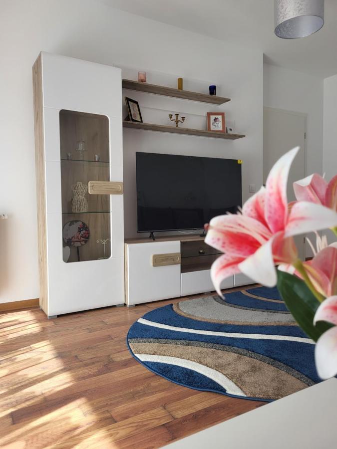 Apartament C&L Braşov Eksteriør billede